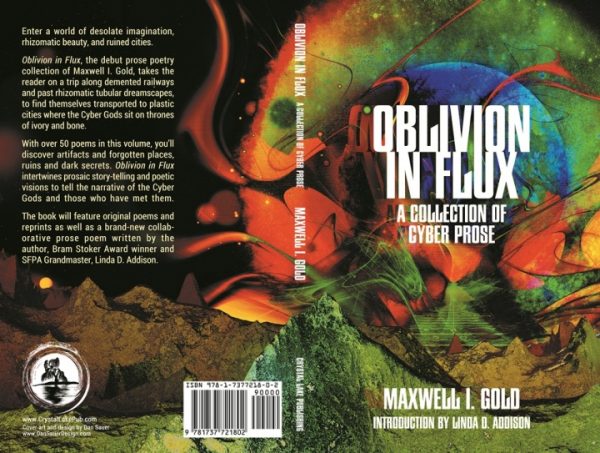 Oblivion in Flux by Maxwell I. Gold - Image 2